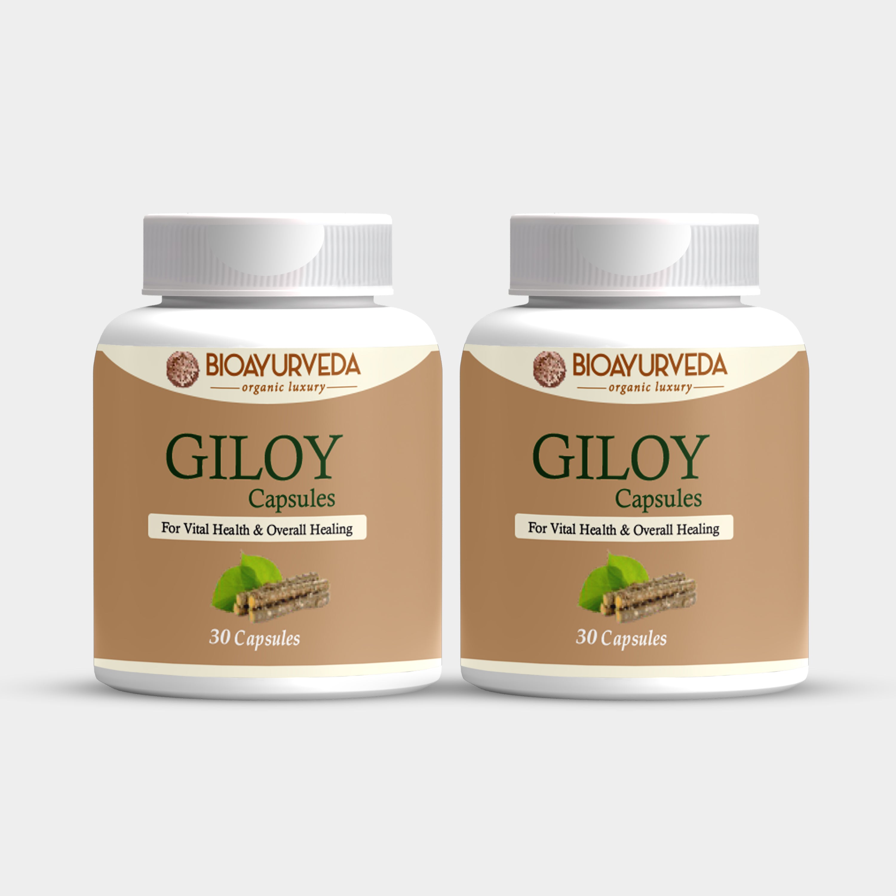 Giloy Capsule by Bio Ayurveda