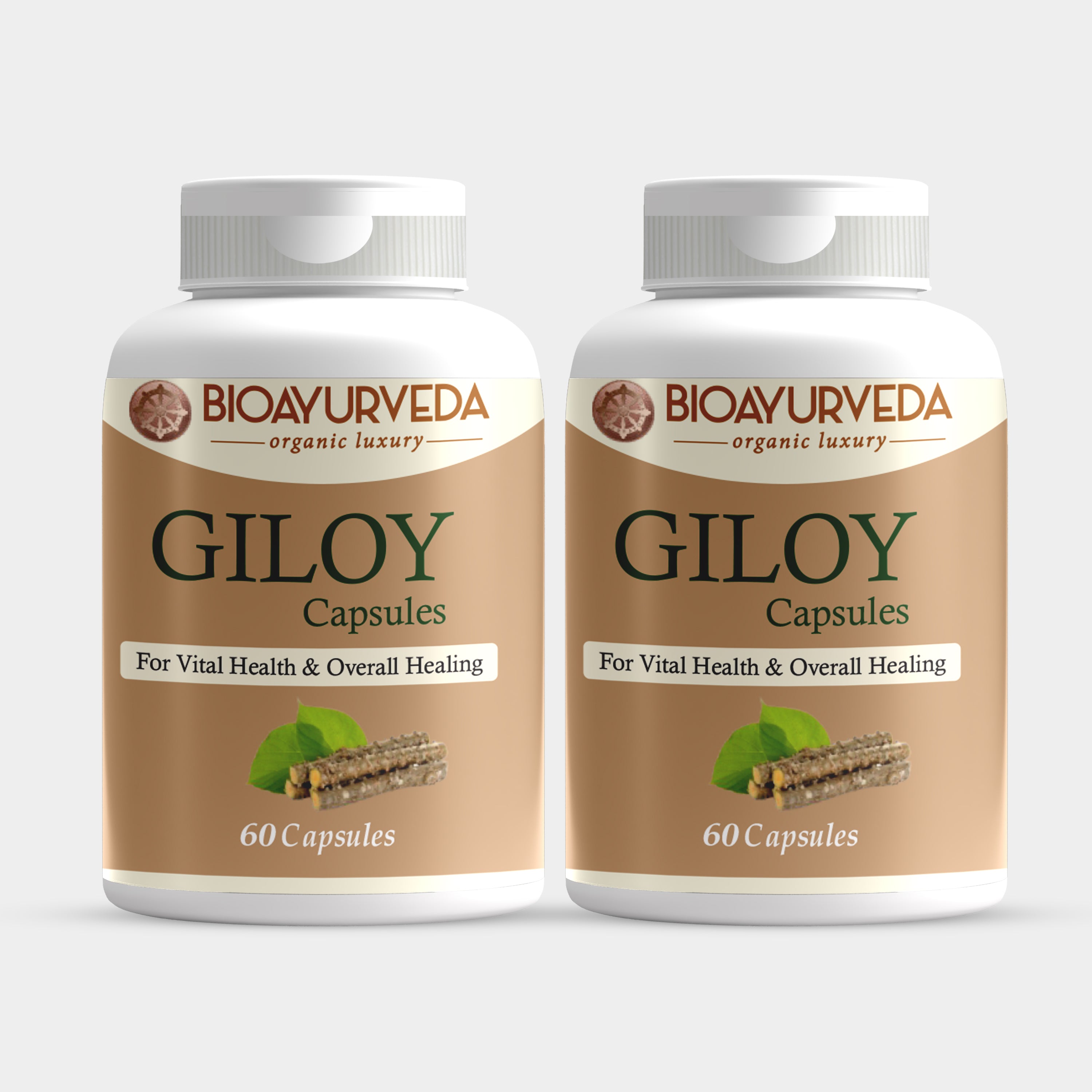 Giloy Capsule, A Poweful Anti- Ageing Herbal Supplement | BIOAYURVEDA