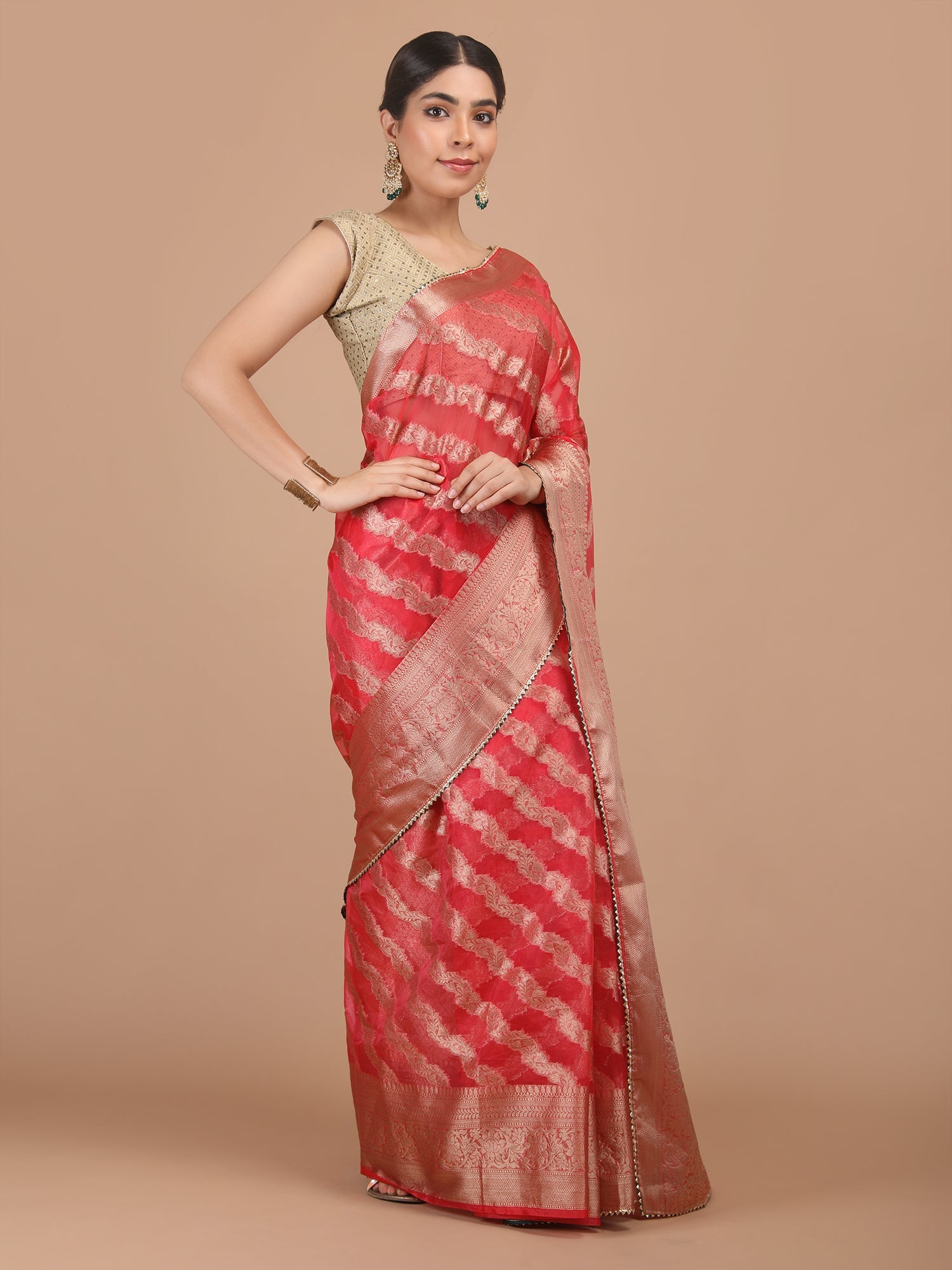 Organza Lining Jaal with Border Saree