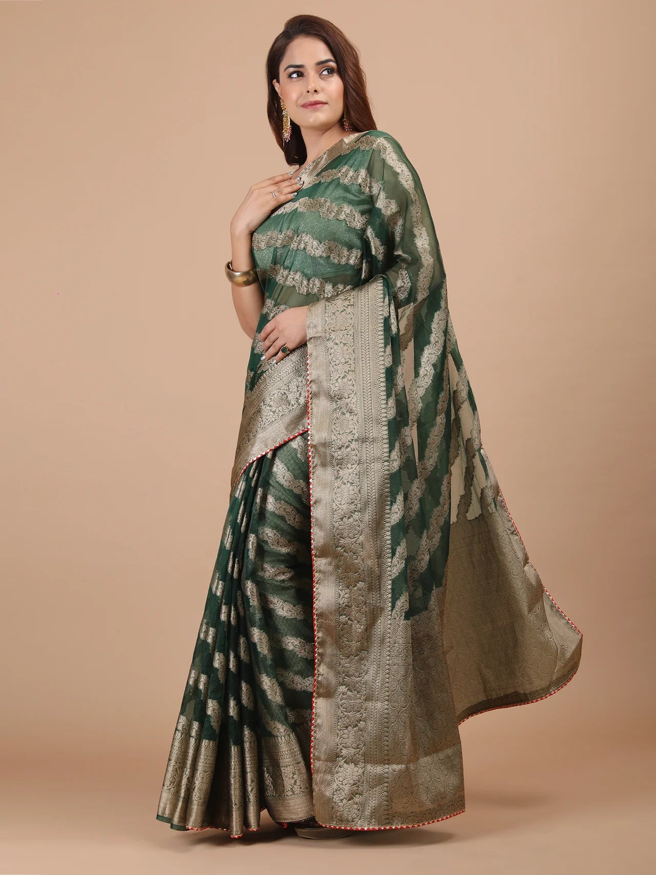 Organza Lining Jaal with Border Saree