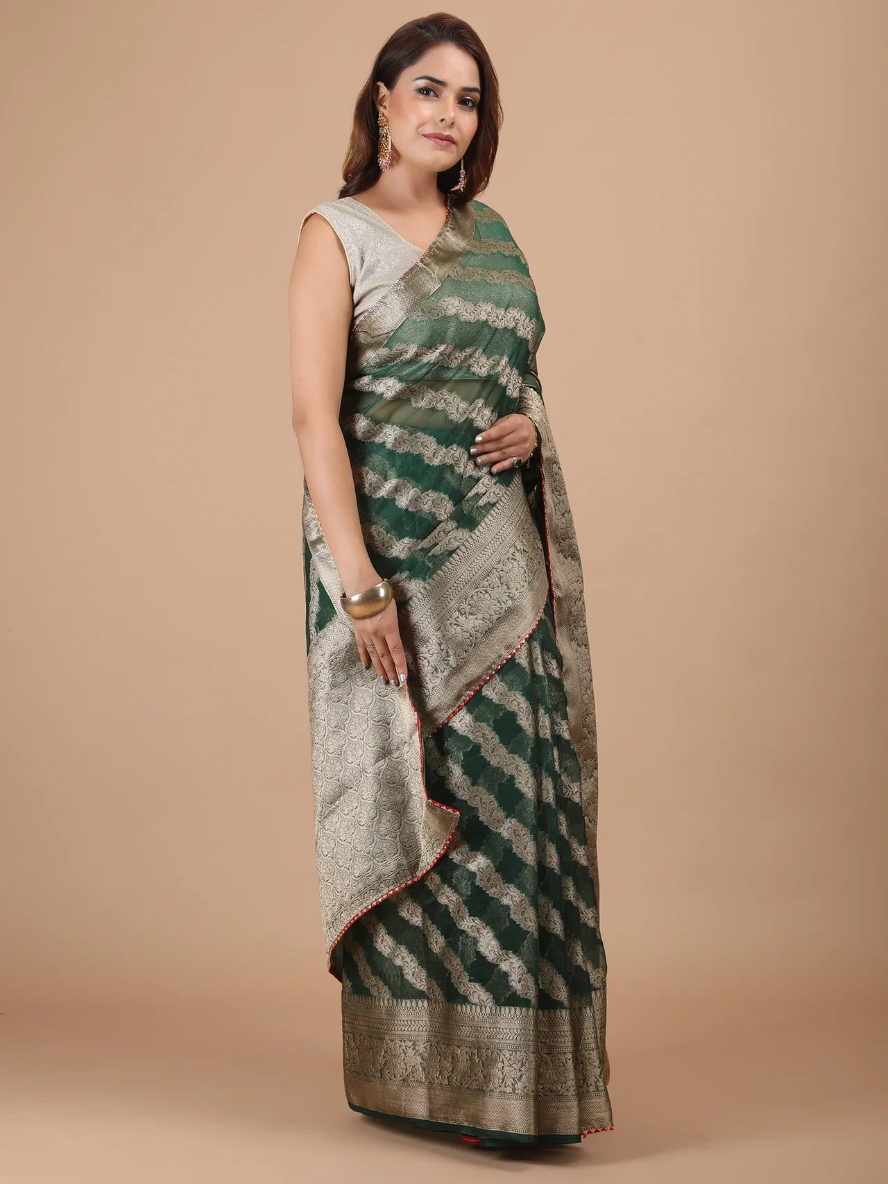 Organza Lining Jaal with Border Saree