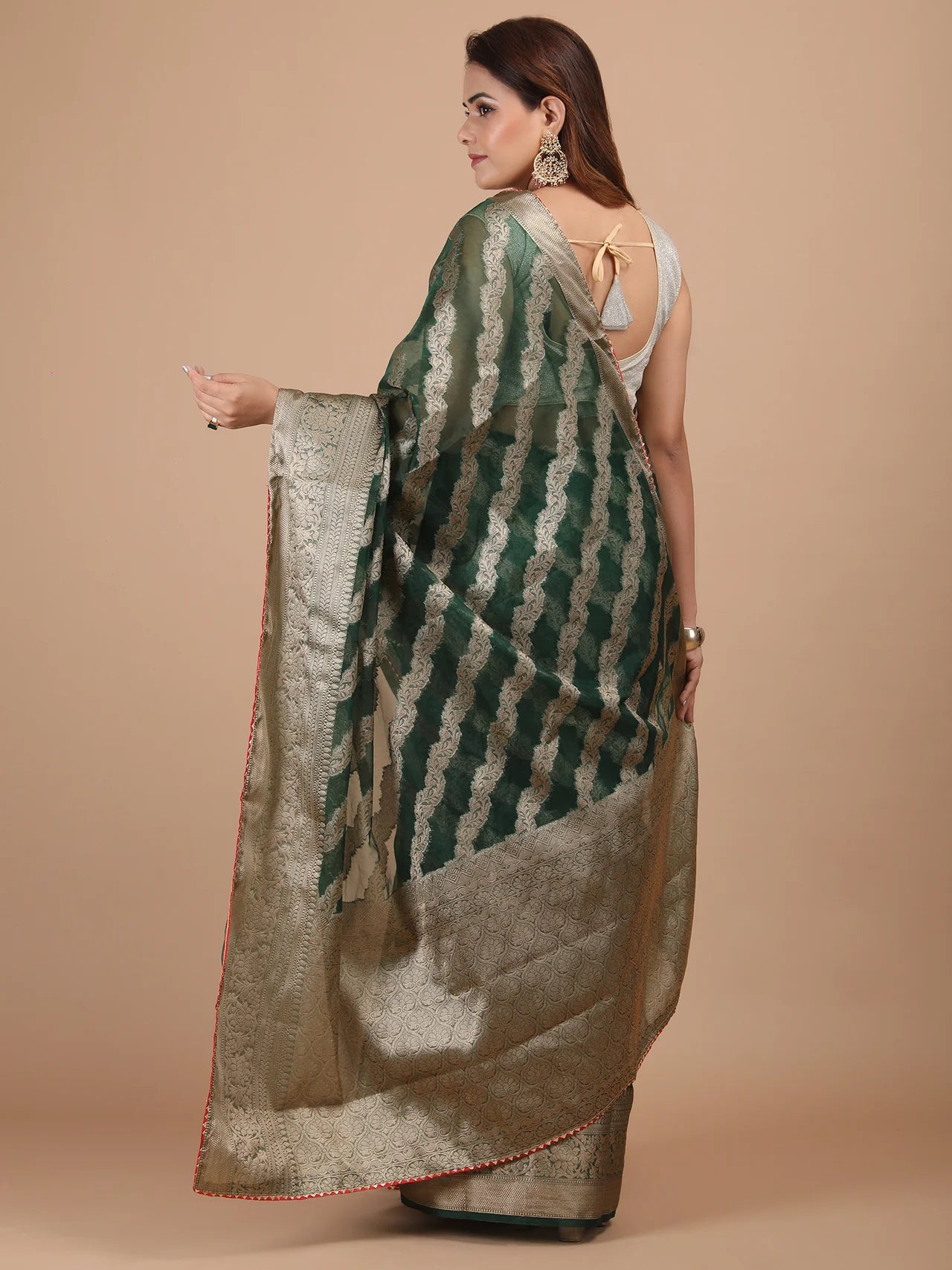 Organza Lining Jaal with Border Saree