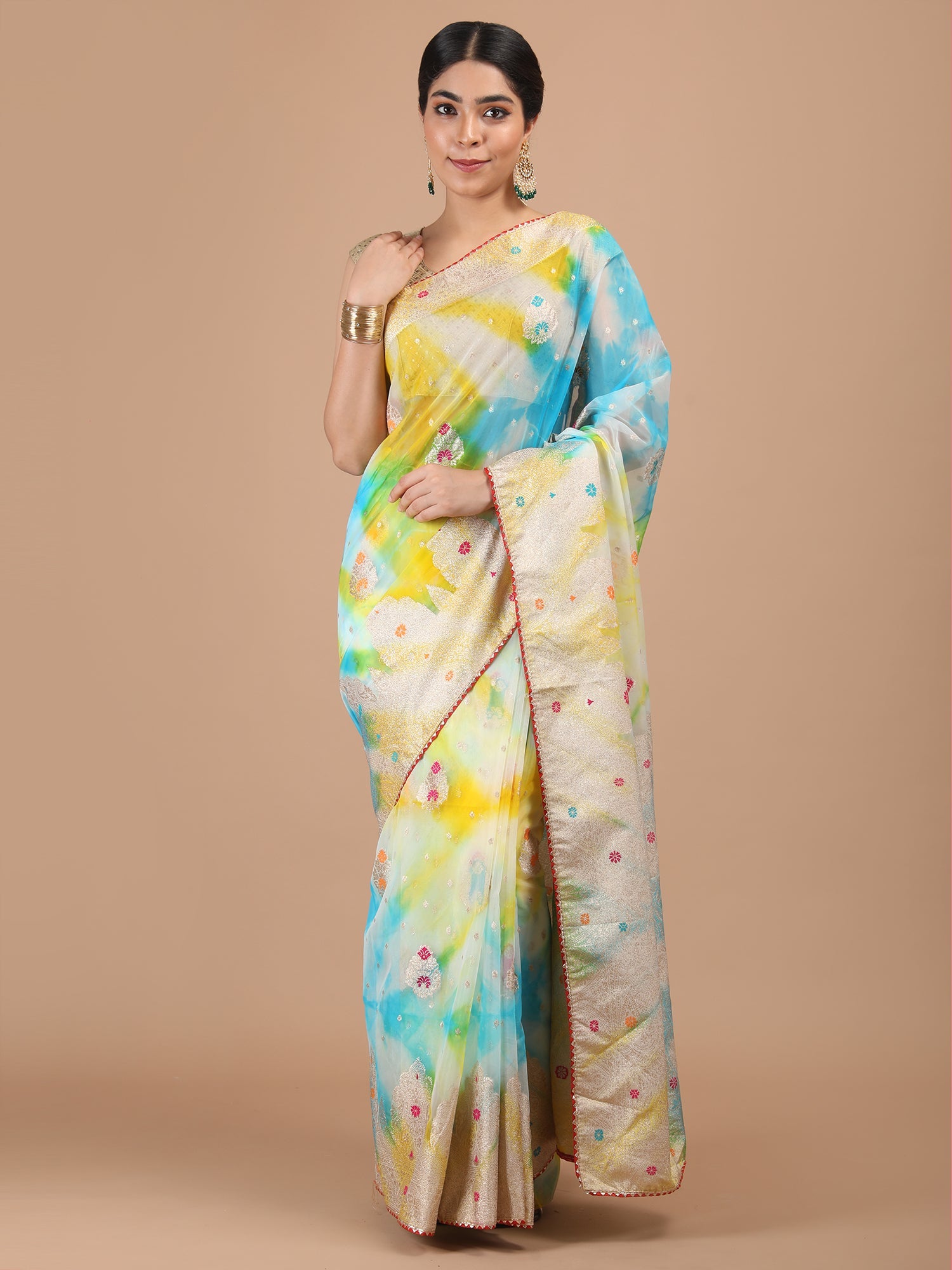 Organza Meena Booti with Border Saree