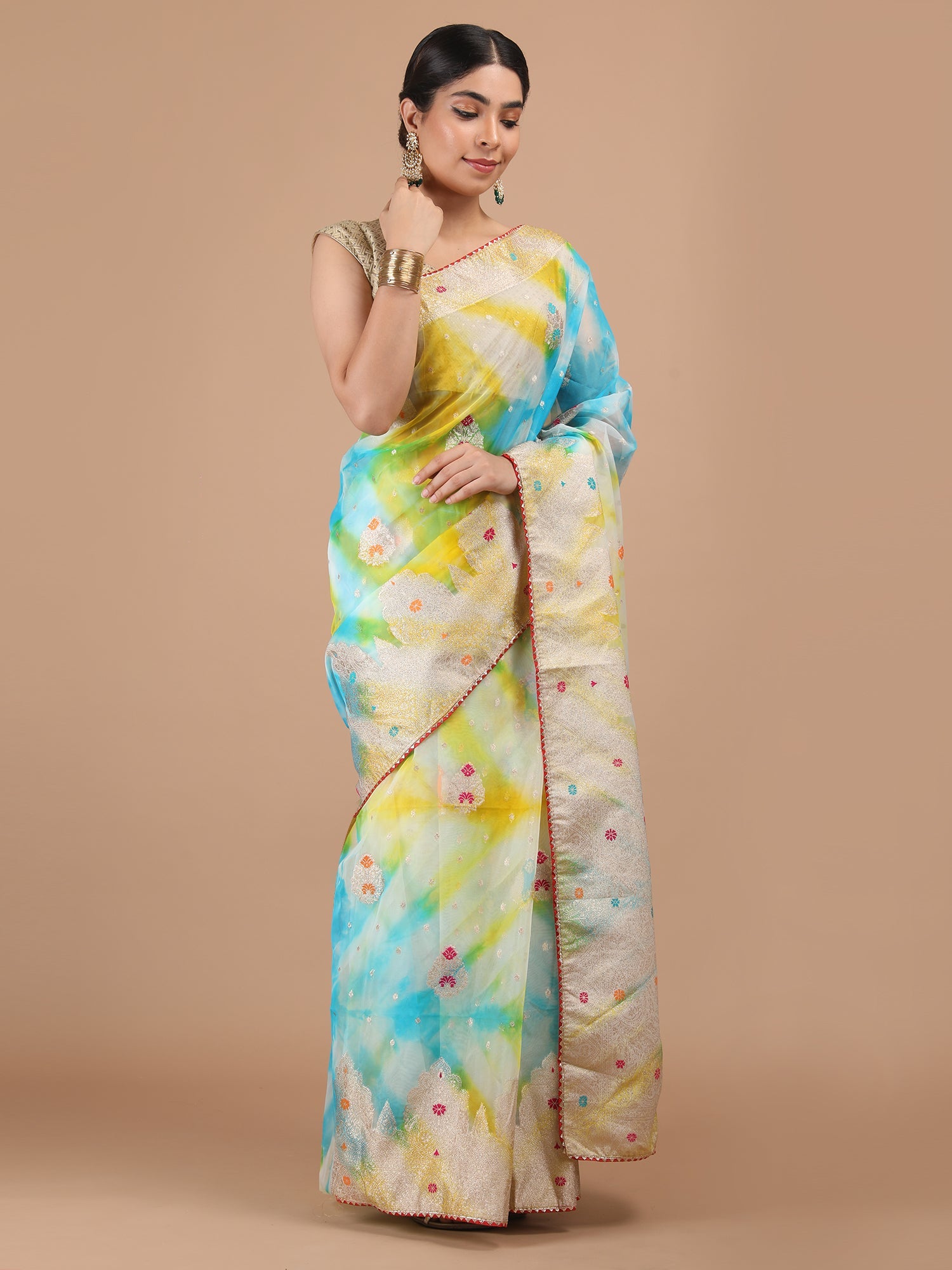 Organza Meena Booti with Border Saree