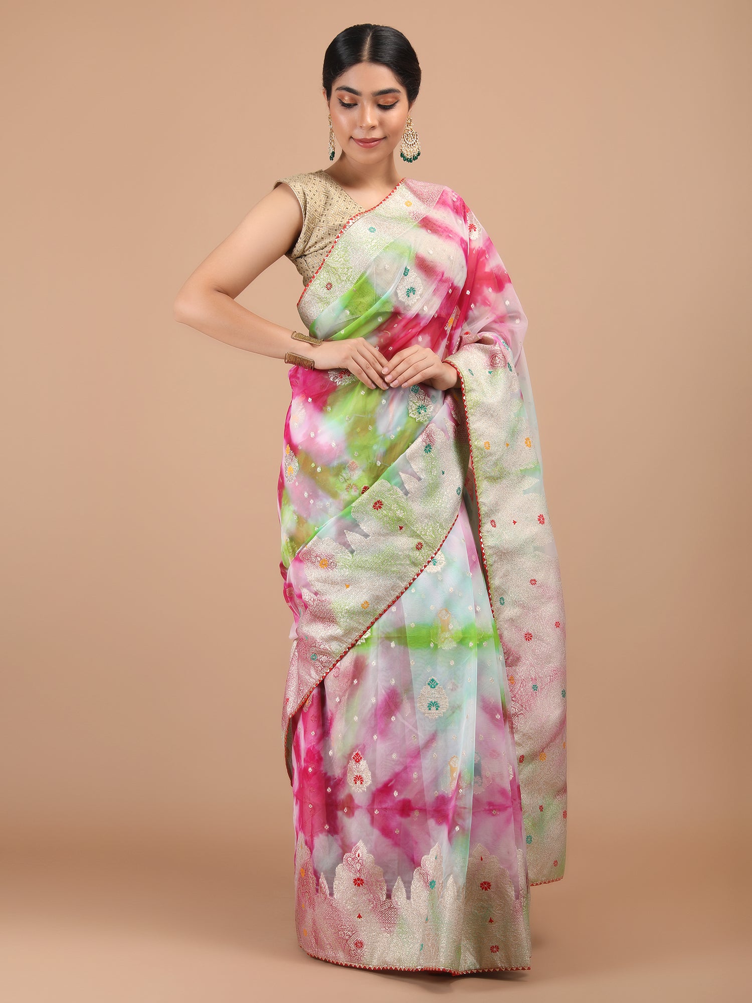 Organza Meena Booti with Border Saree