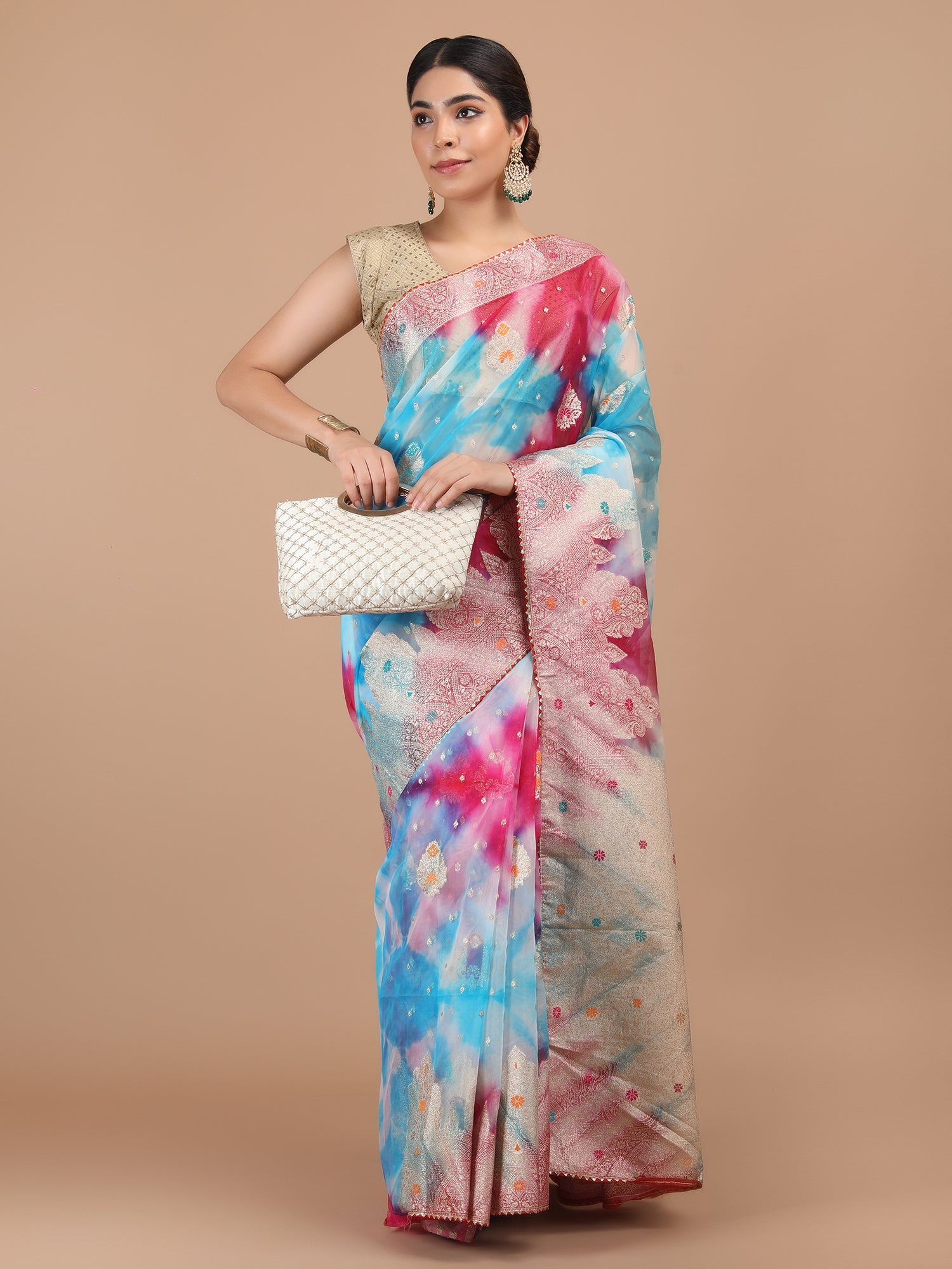 Organza Meena Booti with Border Saree