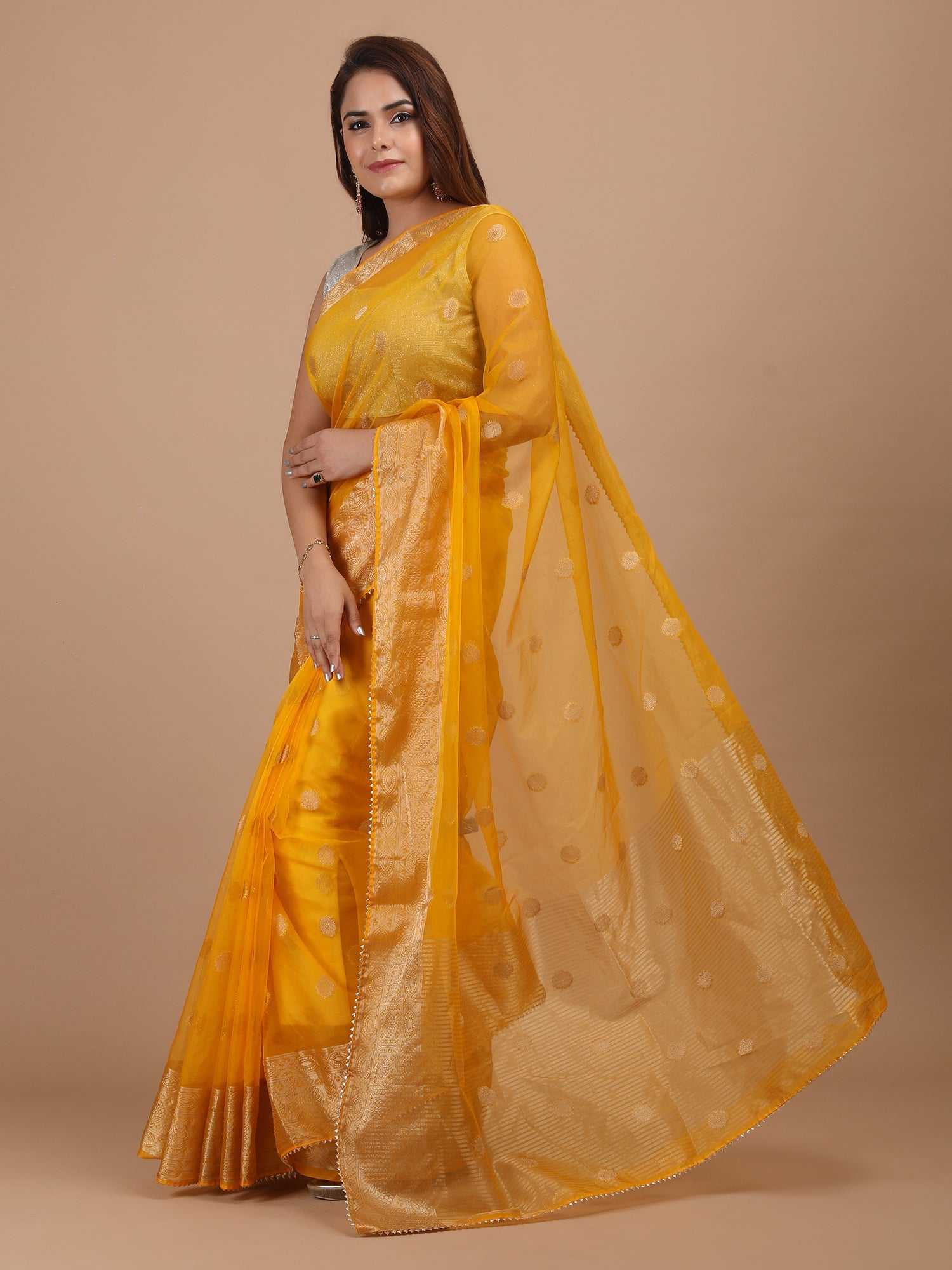 Organza Booti with Border Saree