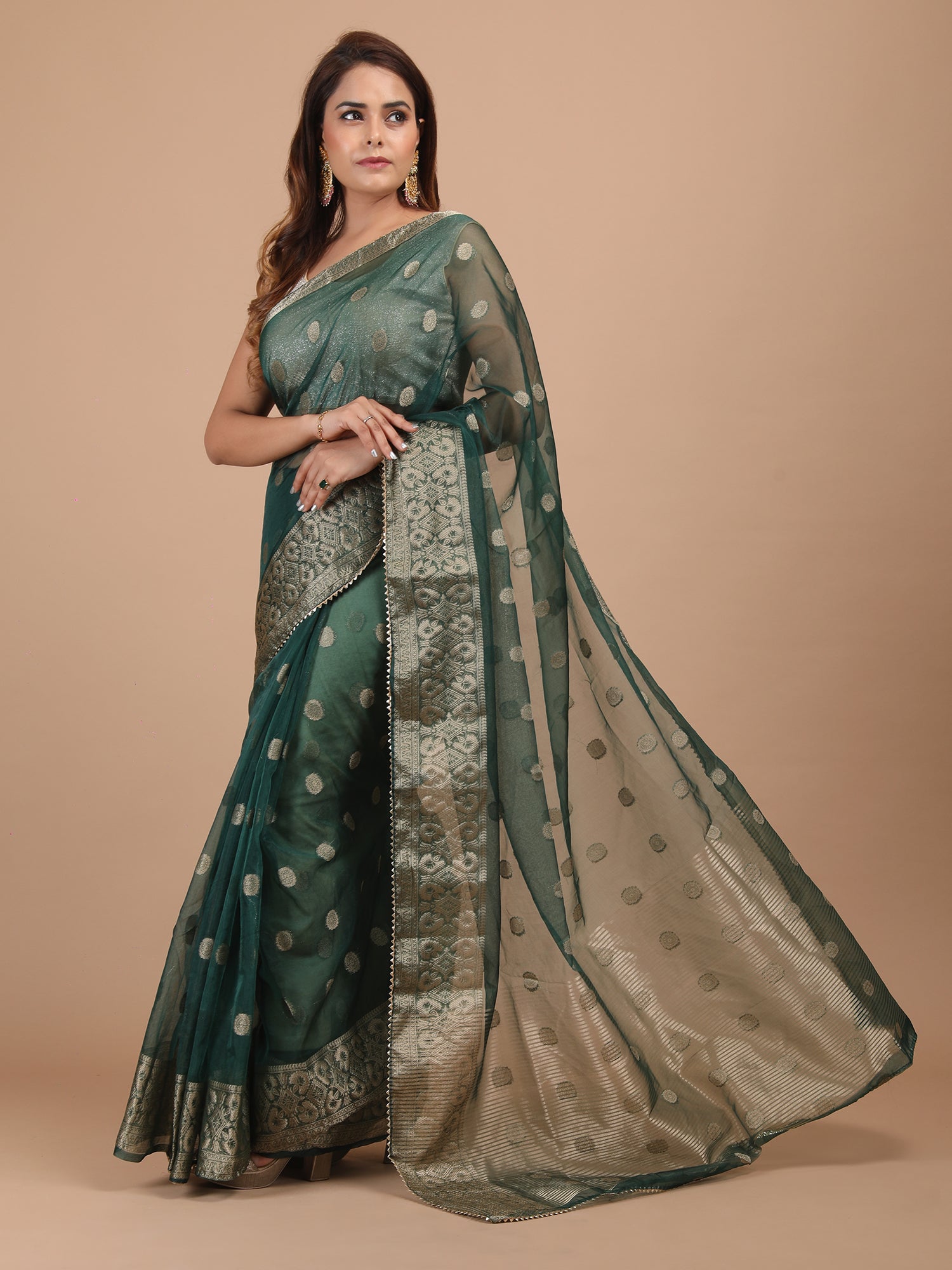 Organza Booti with Border Saree