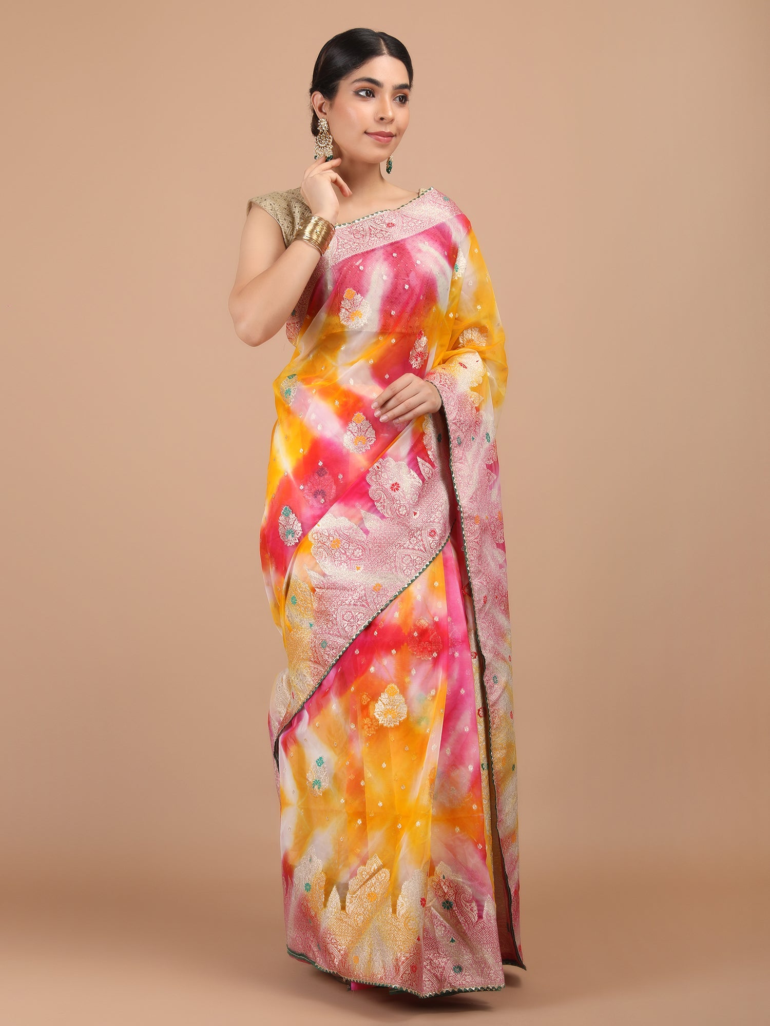 Organza Meena Booti with Border Saree