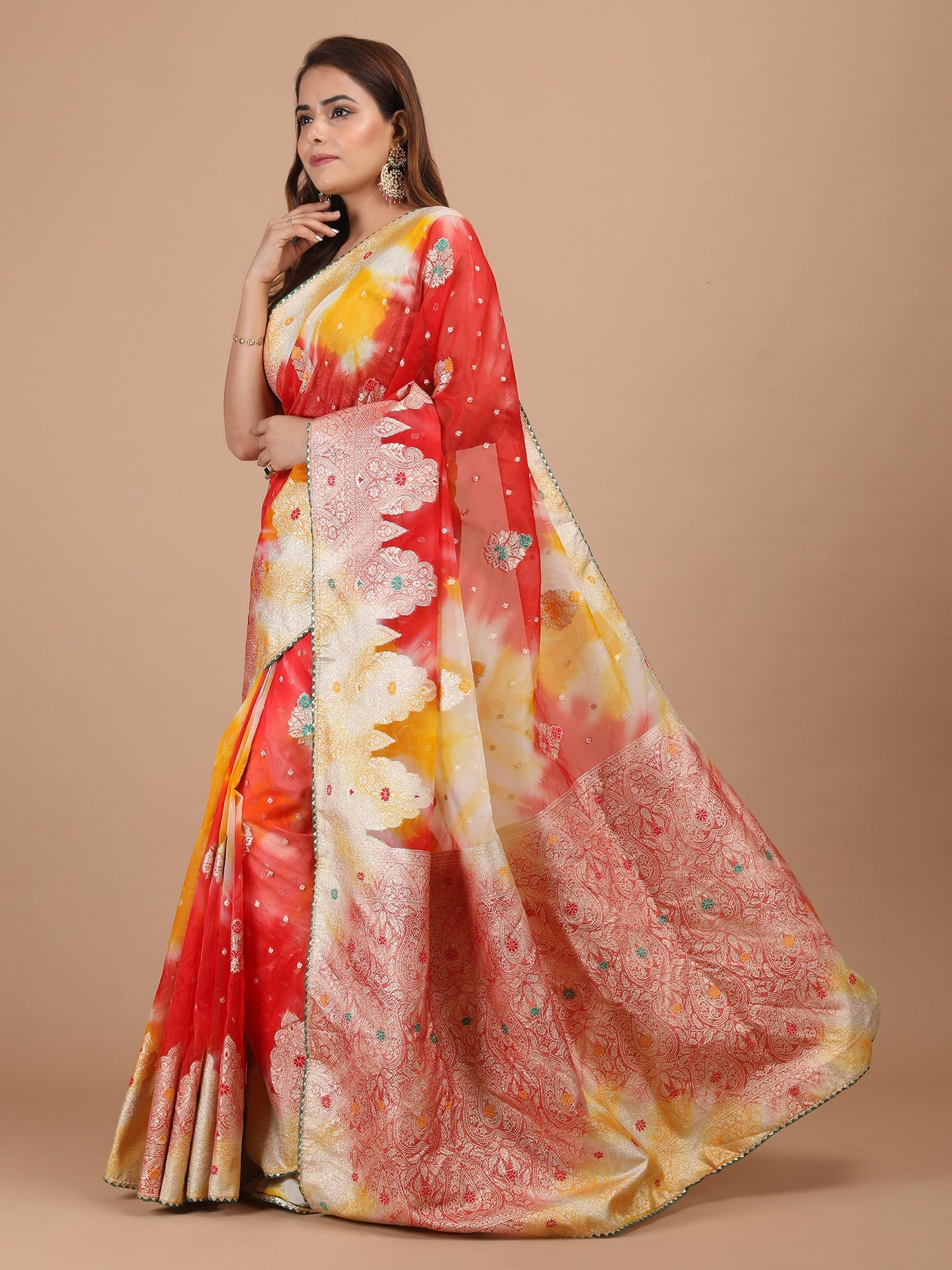Organza Meena Booti with Border Saree