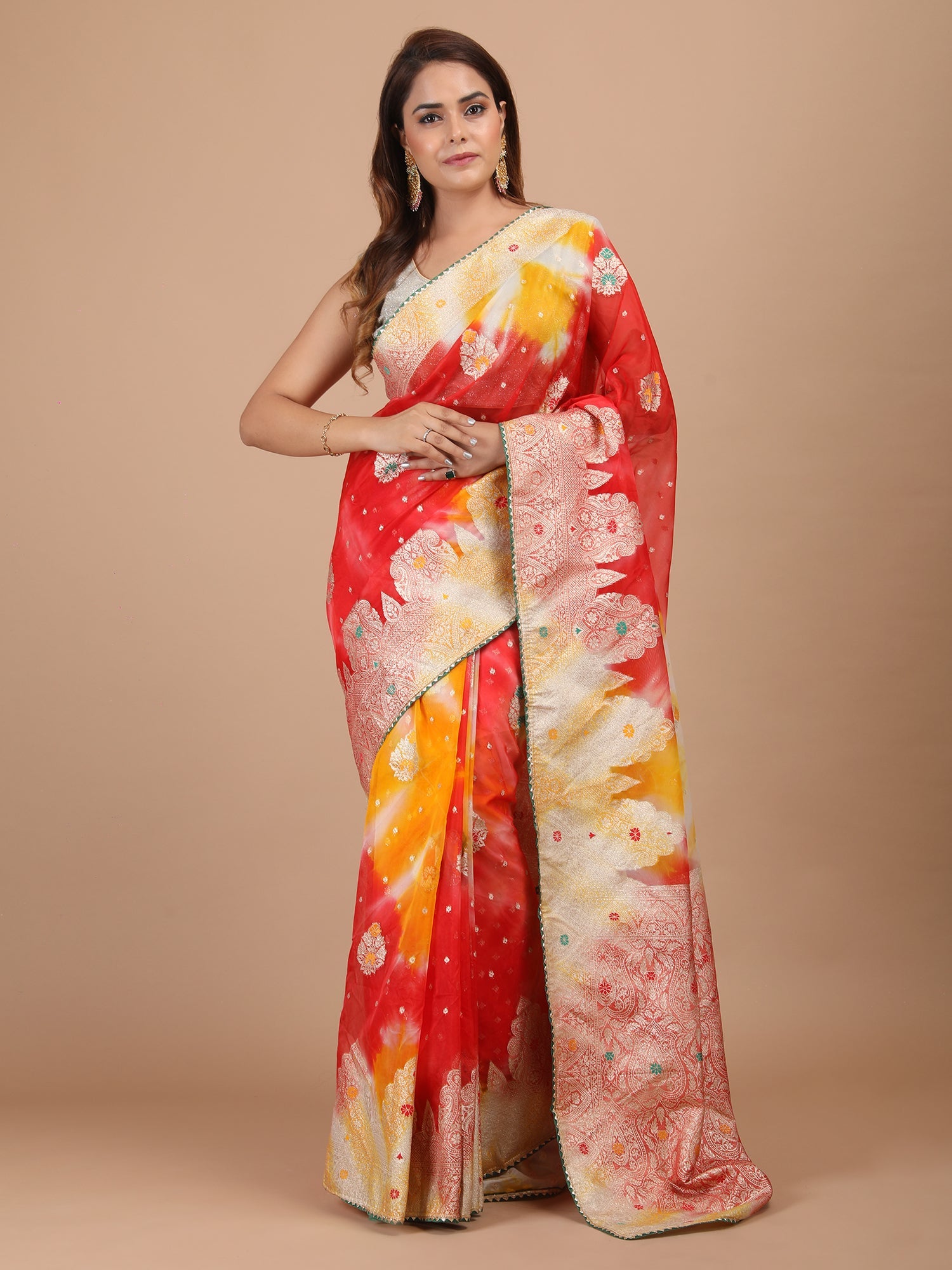 Organza Meena Booti with Border Saree