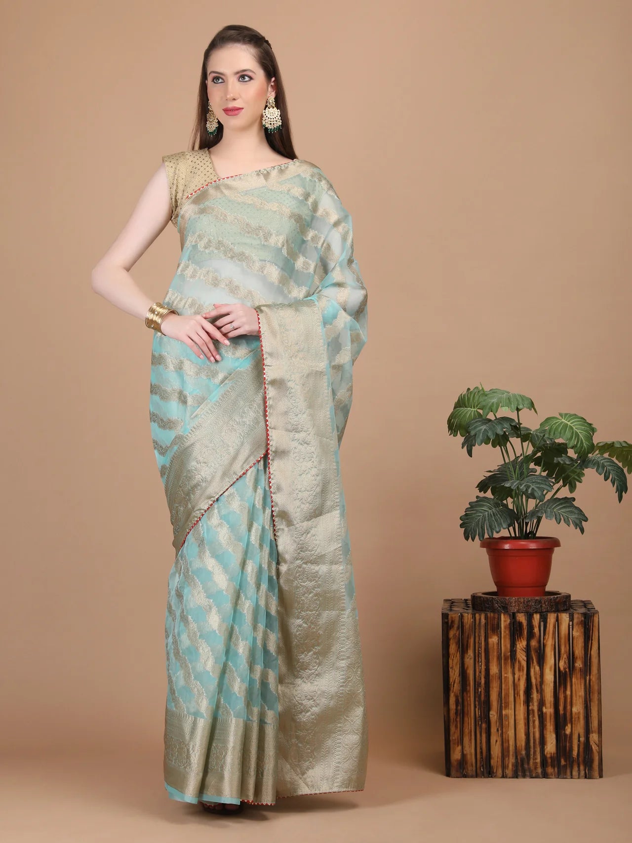 Organza Lining Jaal with Border Saree
