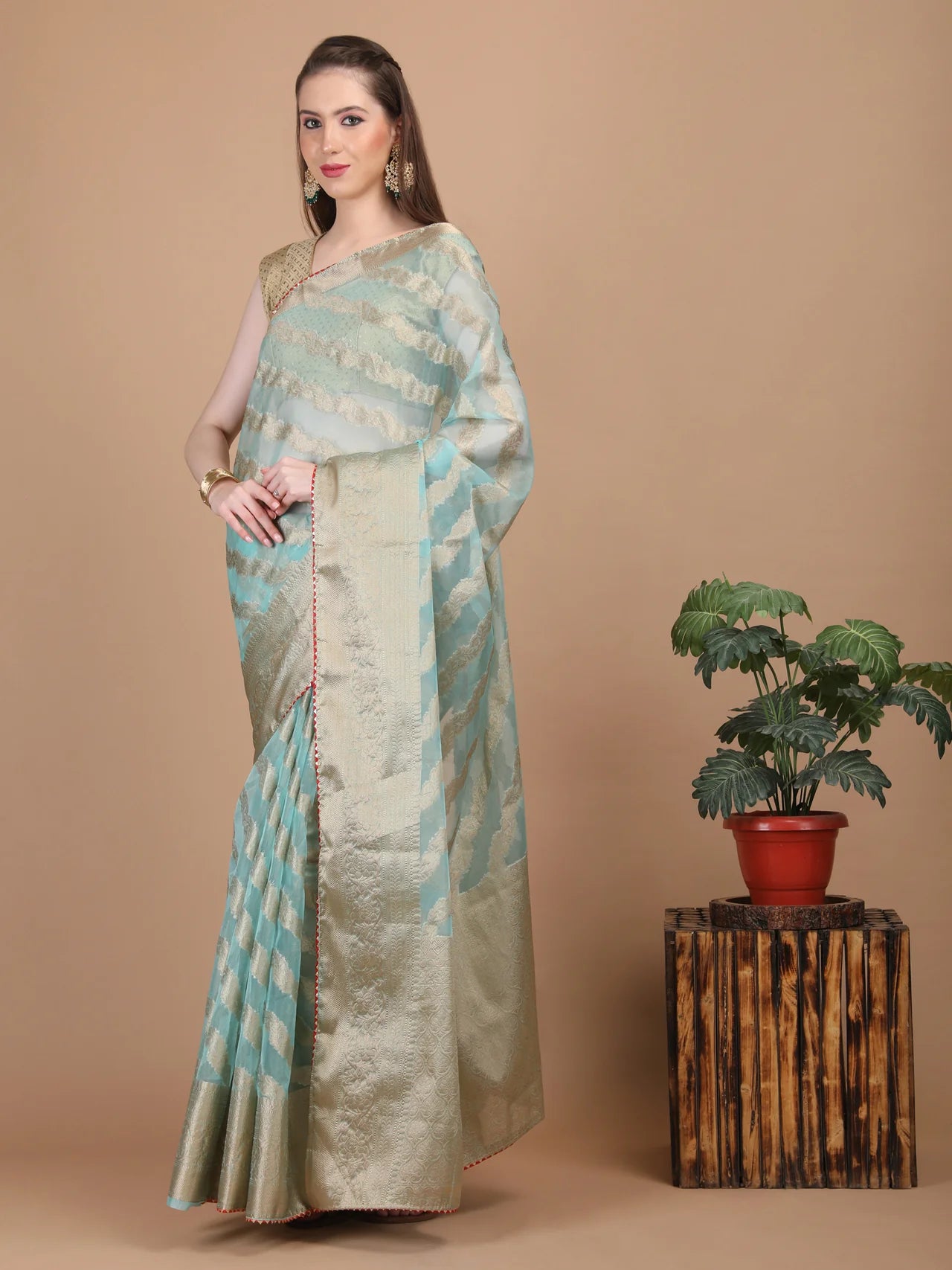 Organza Lining Jaal with Border Saree