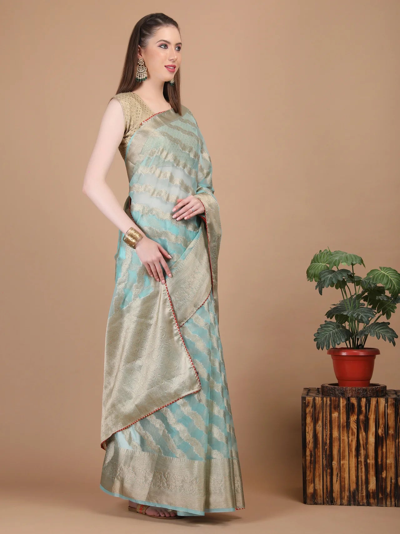Organza Lining Jaal with Border Saree
