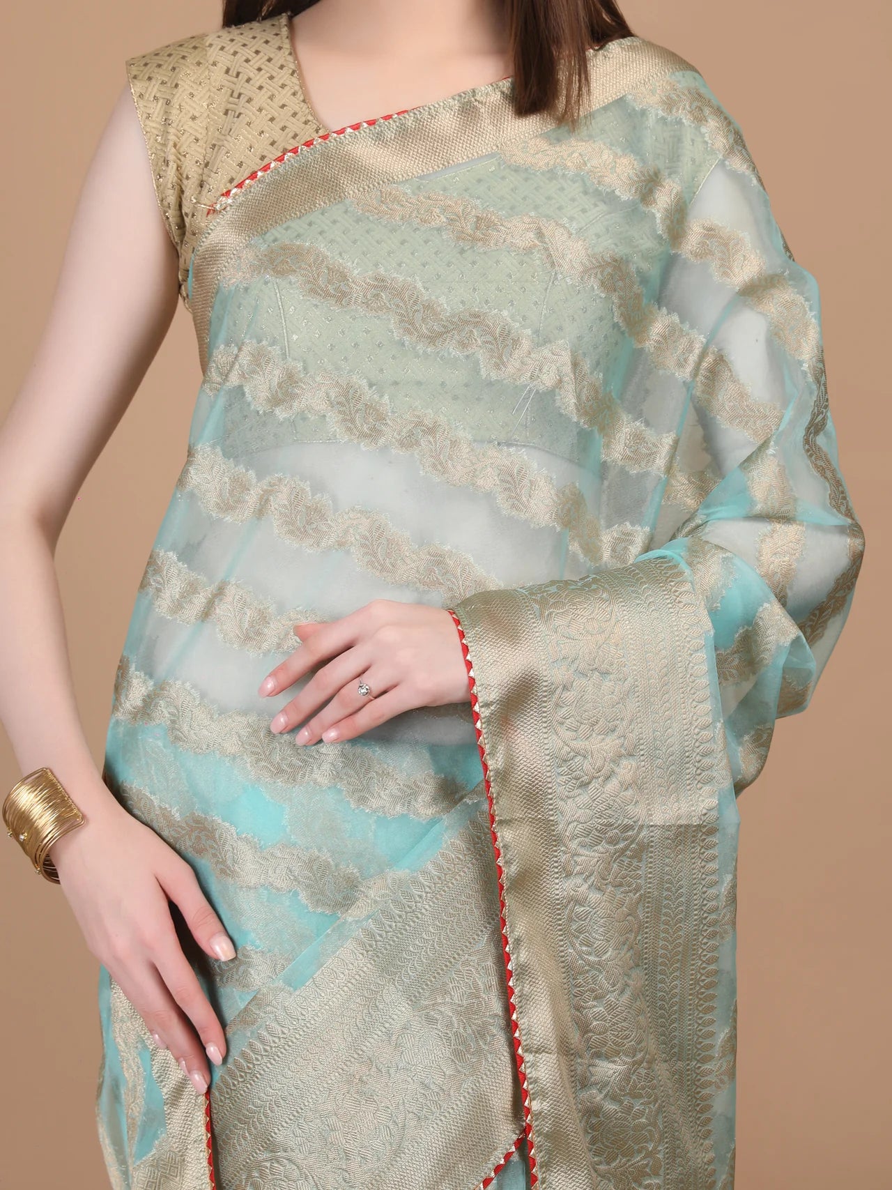 Organza Lining Jaal with Border Saree