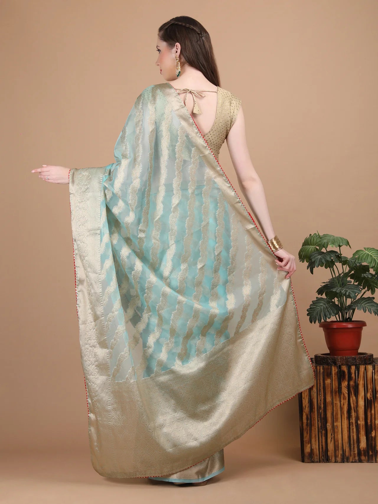 Organza Lining Jaal with Border Saree