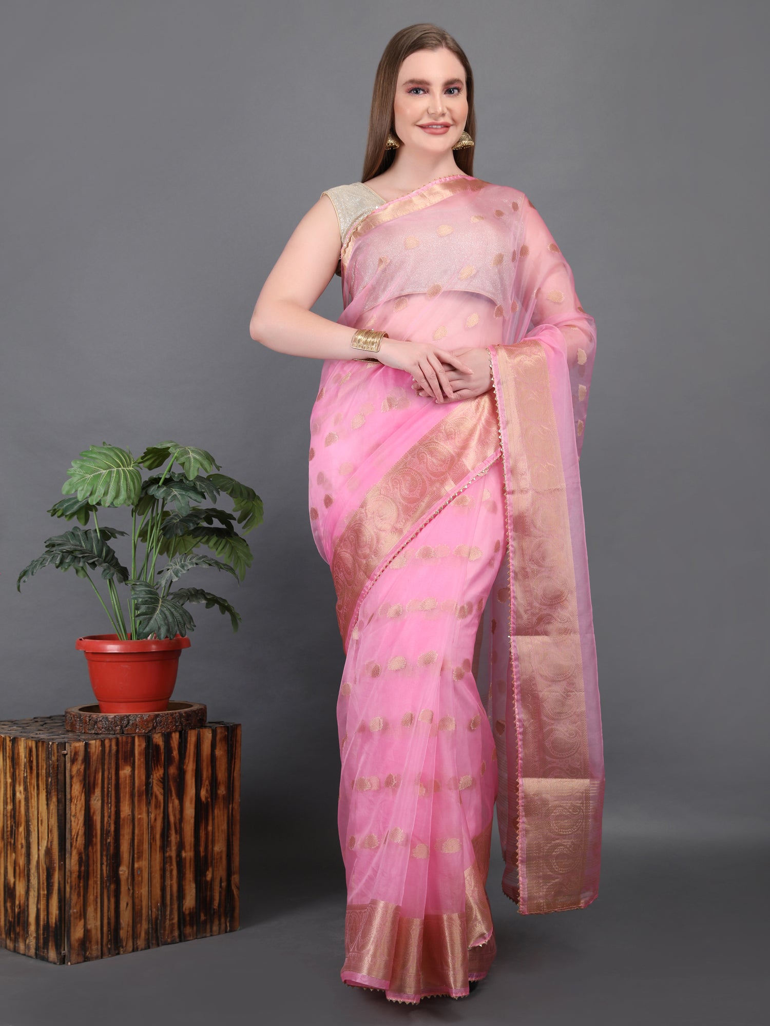 Organza Booti with Border Saree
