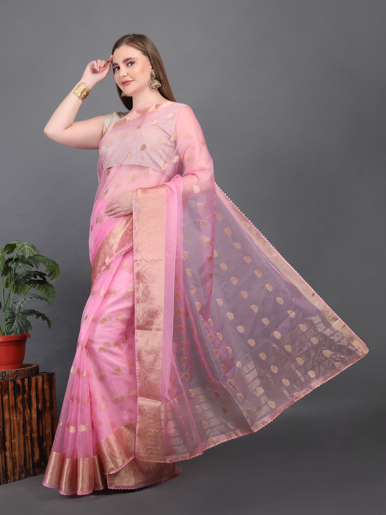 Organza Booti with Border Saree