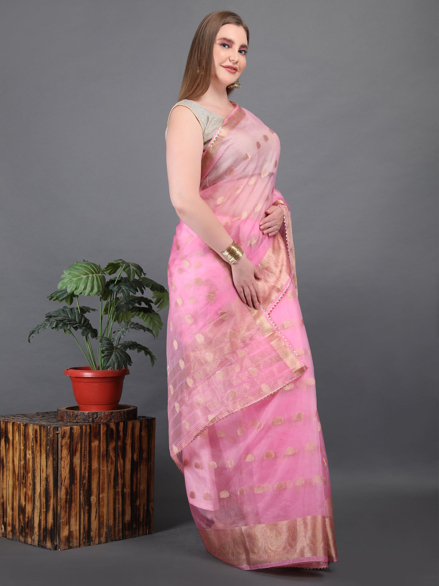 Organza Booti with Border Saree