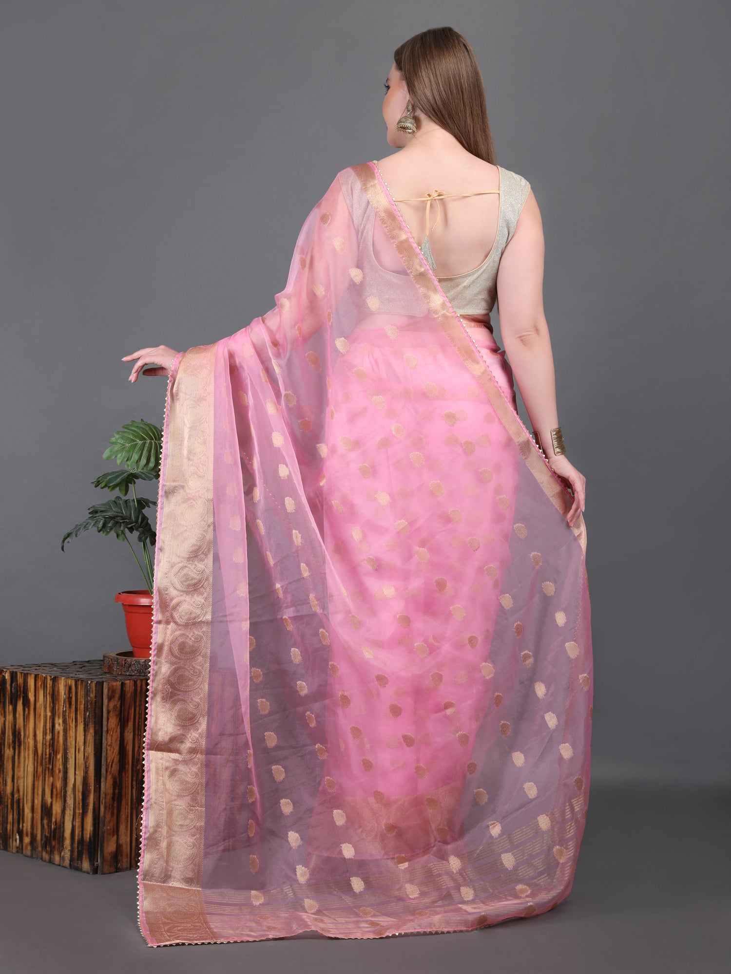 Organza Booti with Border Saree