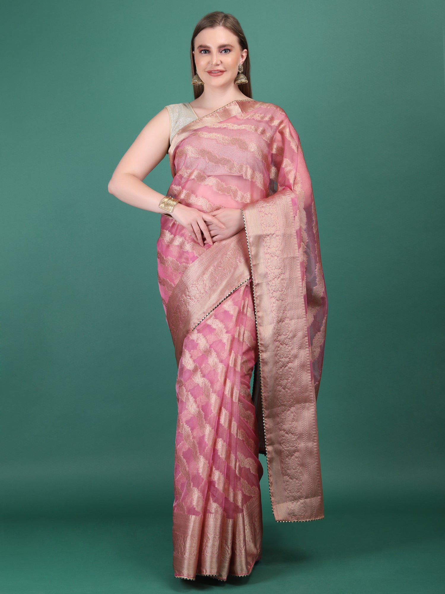Organza Lining Jaal with Border Saree