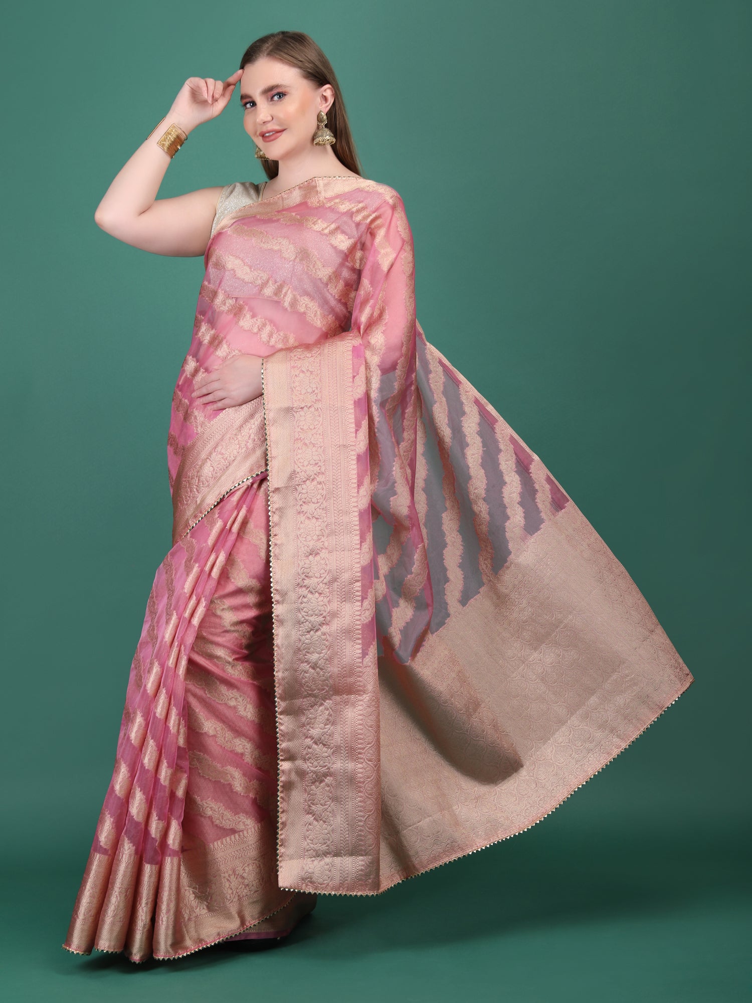 Organza Lining Jaal with Border Saree