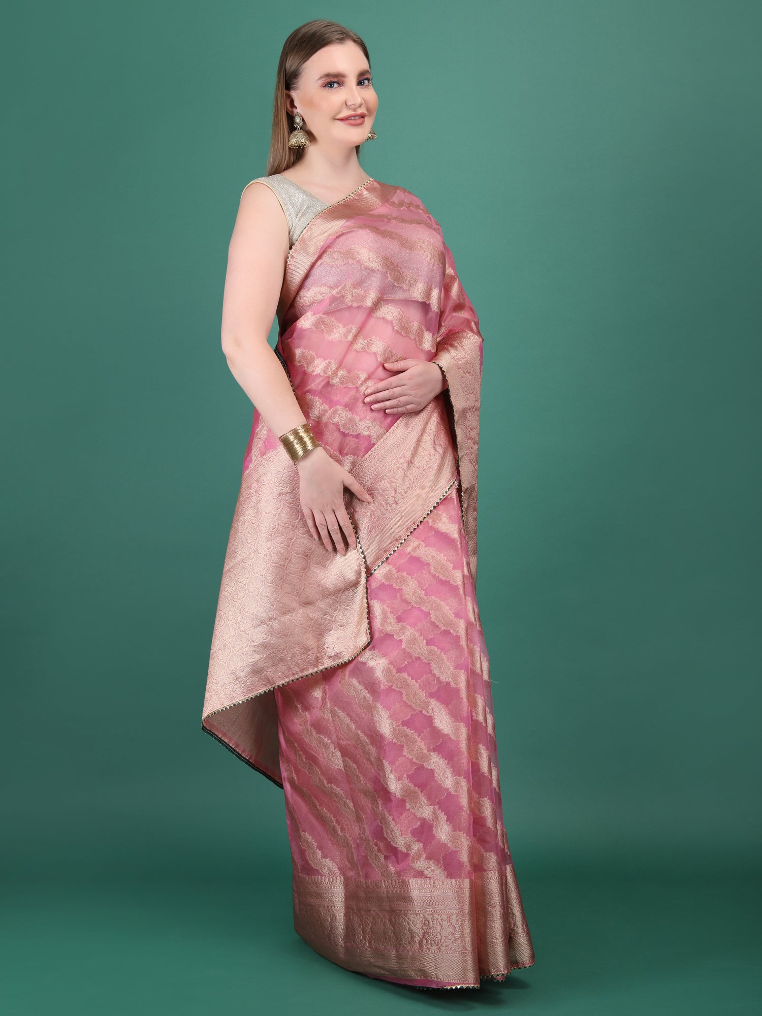 Organza Lining Jaal with Border Saree