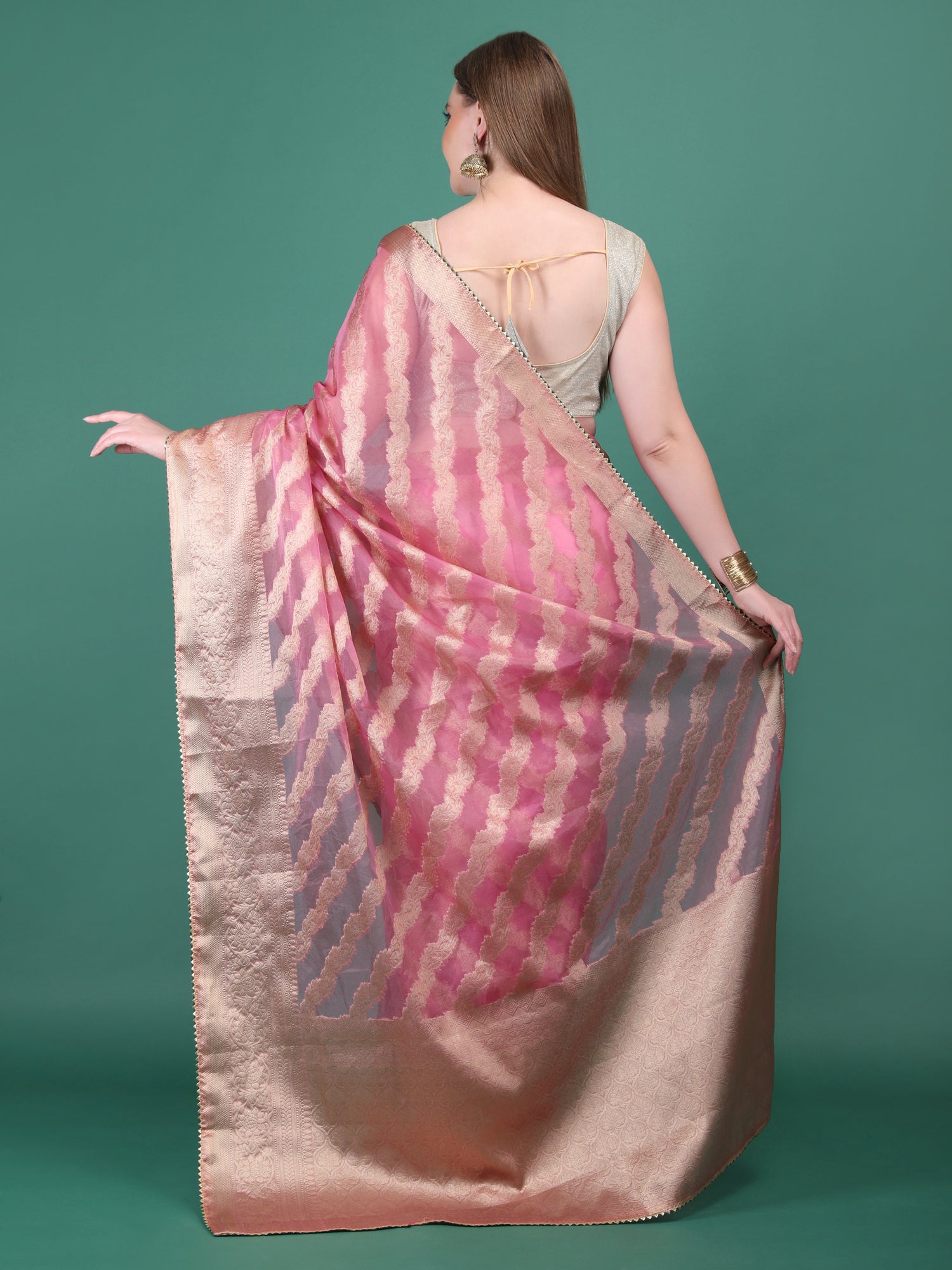 Organza Lining Jaal with Border Saree