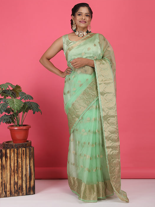 Organza Booti with Border Saree