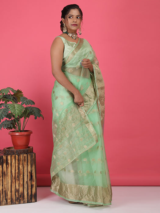 Organza Booti with Border Saree