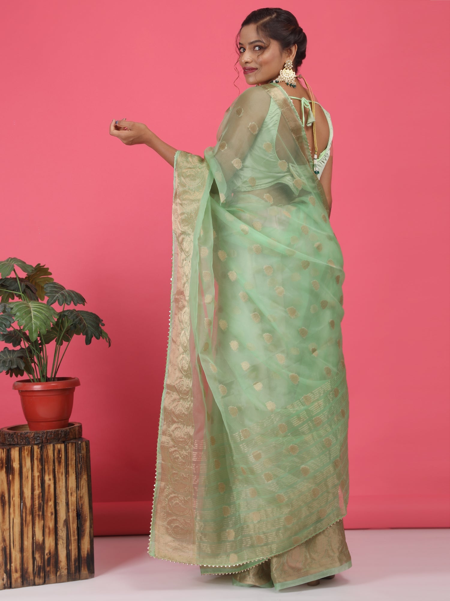 Organza Booti with Border Saree