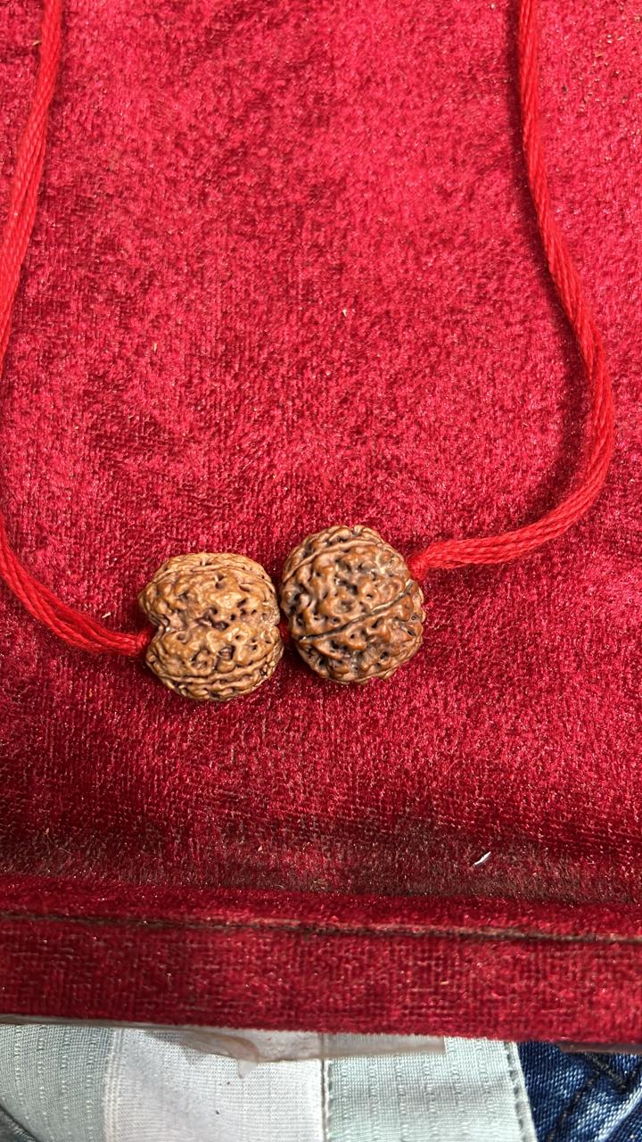 RUDRAKSHA COMBINATION DIABETES AND HEART DISEASE