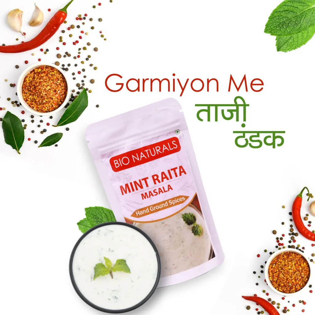 BioNaturals Refreshing Mint Raita Masala Powder