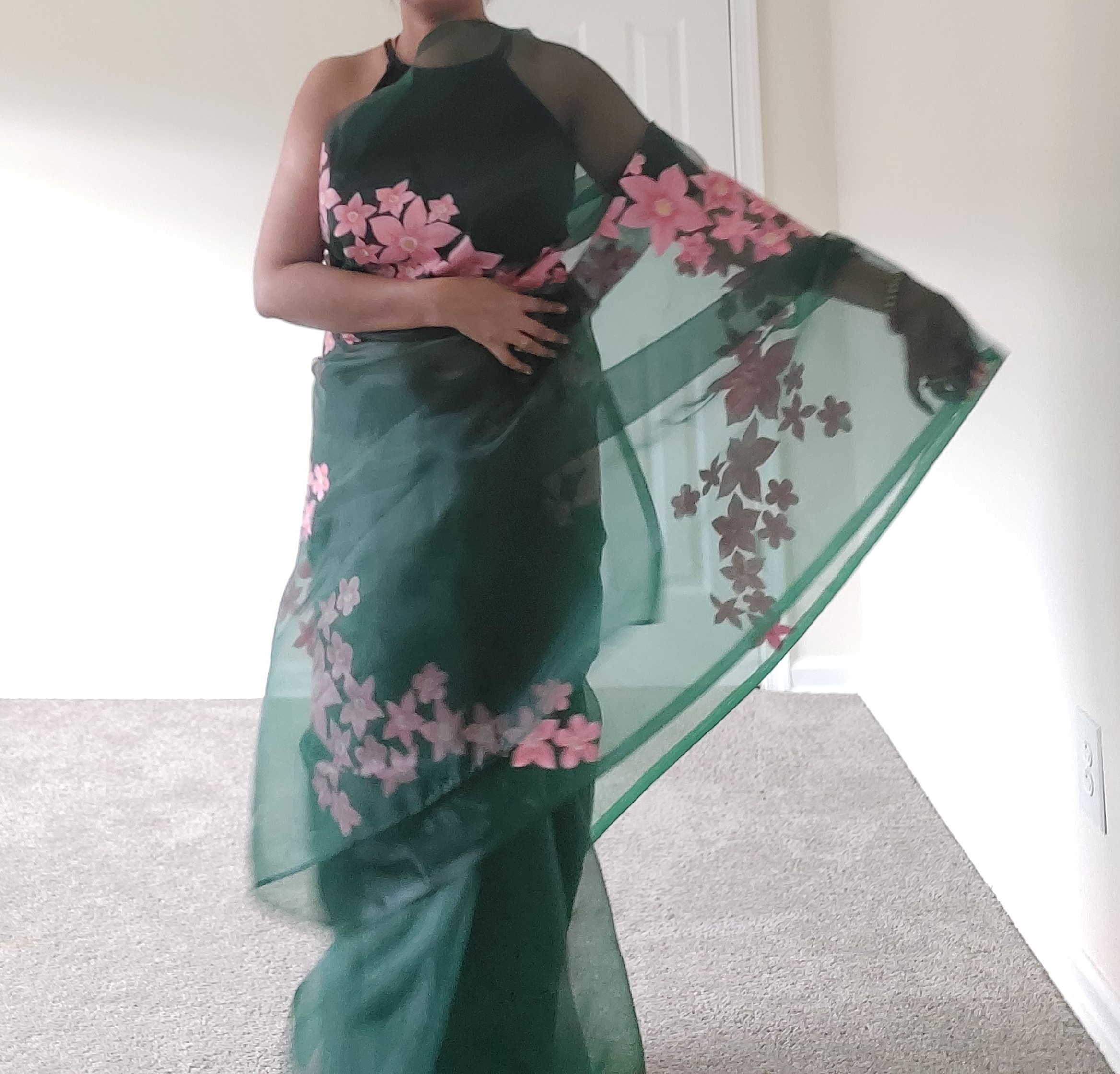 Handpainted saree