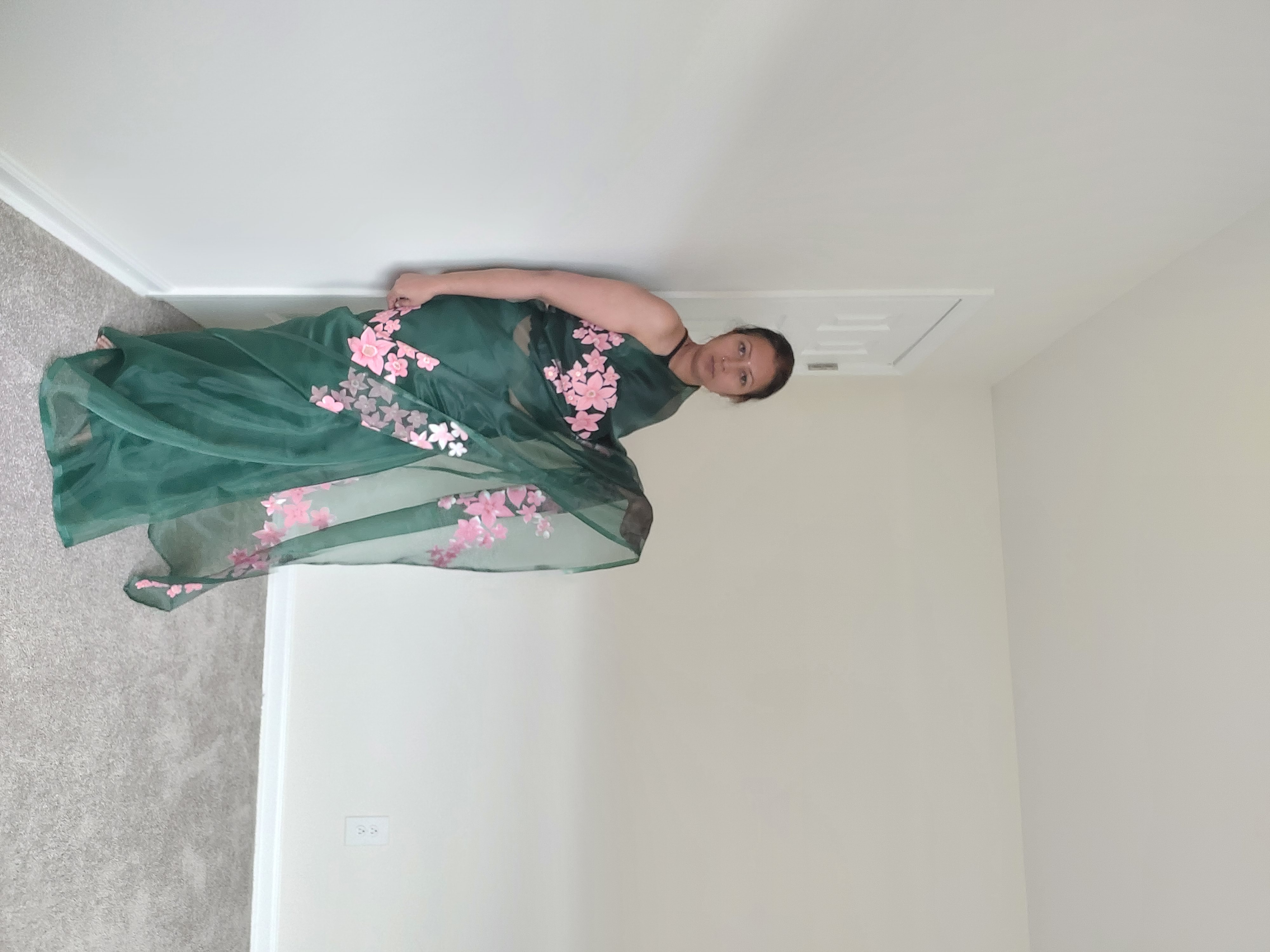 Handpainted saree