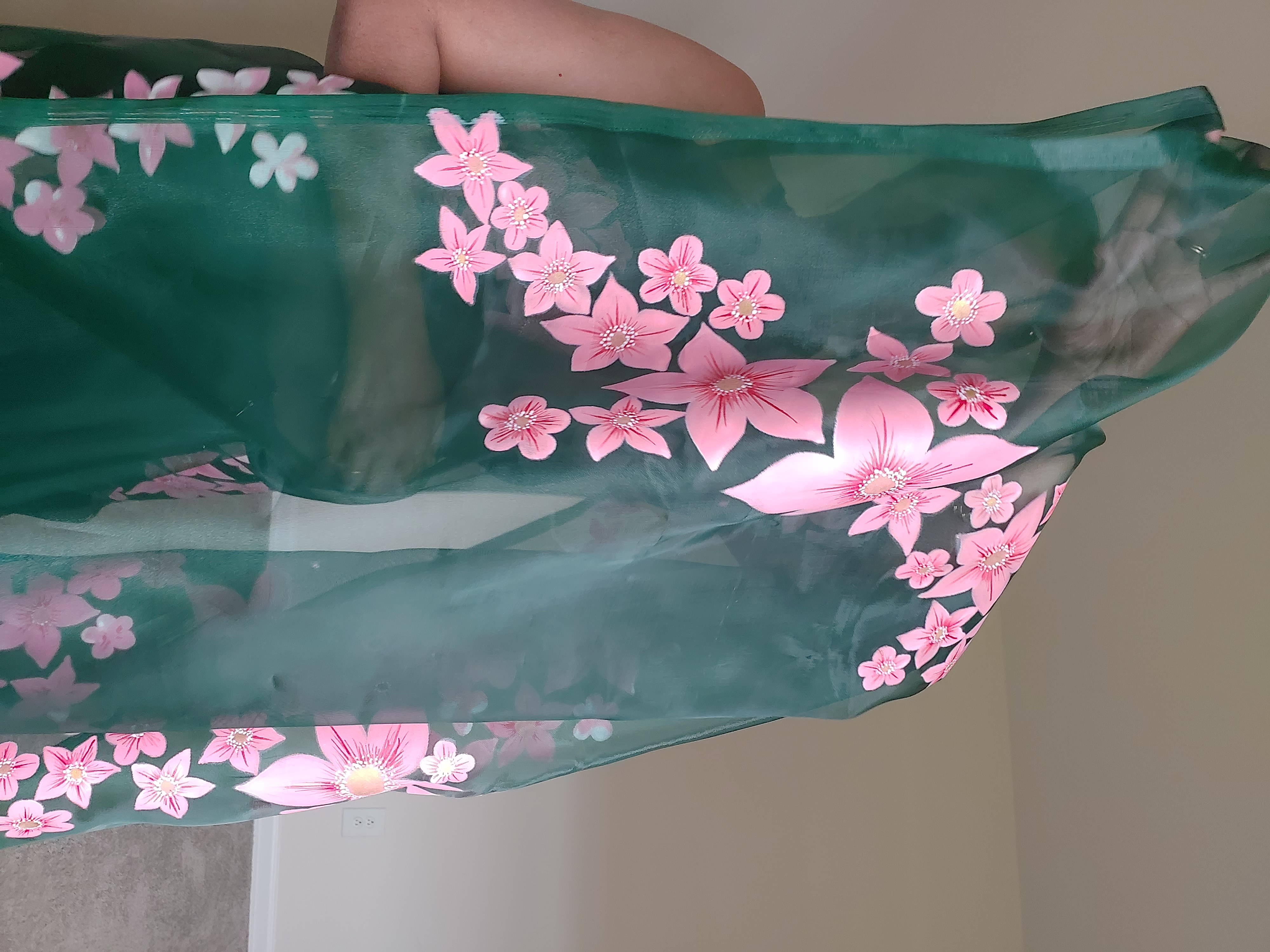 Handpainted saree