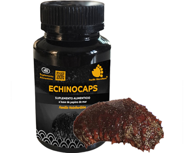 ECHINOCAPS