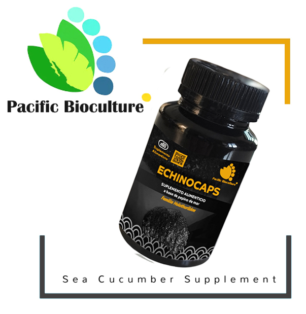 PACIFIC BIOCULTURE Echinocaps Echinacea Herbal Immunity Supplement…