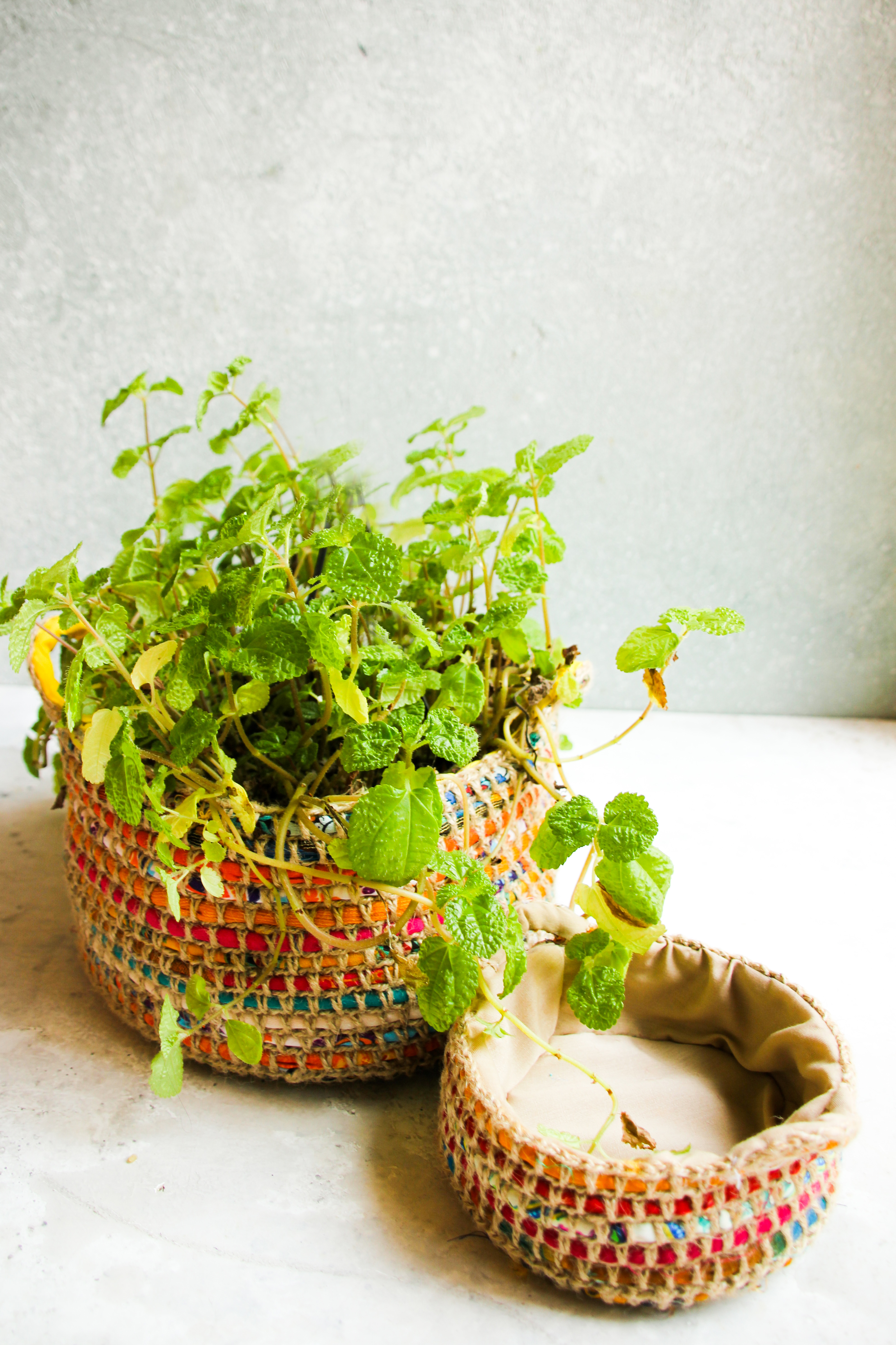 Plant Pot Cover