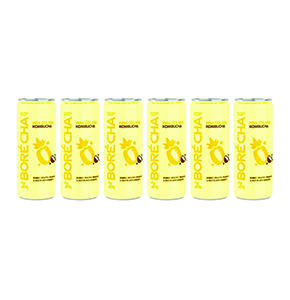 Sparkling Piña Colada Probiotic Kombucha Drink (Pack of 6)