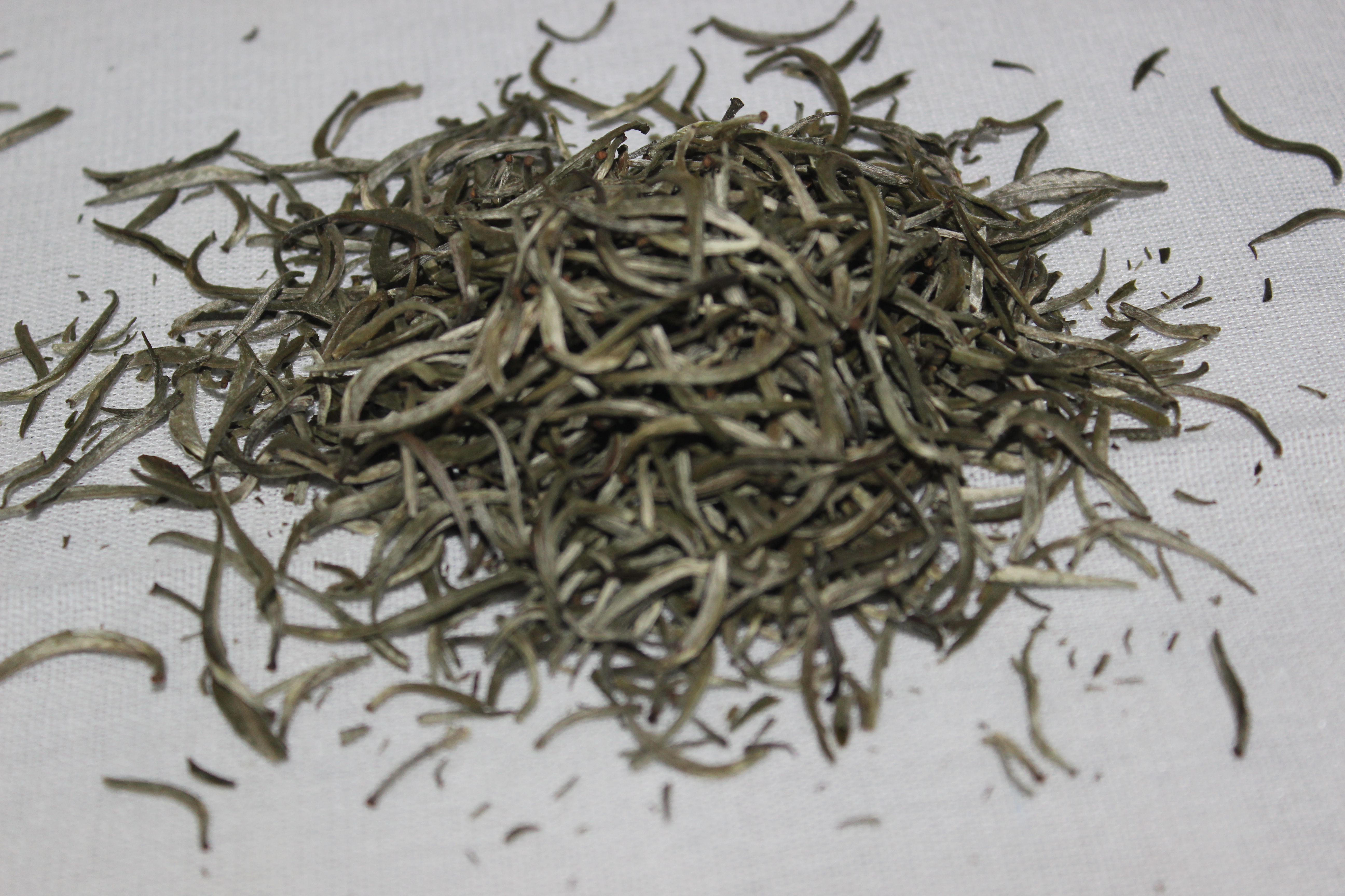 Premium Handcrafted White Tea Leaves - Delicate Loose Leaf Botanical Tea