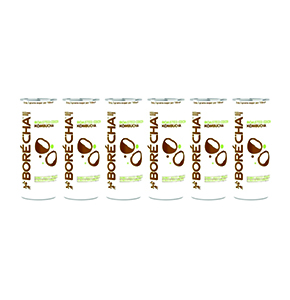 Sparkling Roasted Coconut Probiotic Kombucha Drink (Pack of 6)
