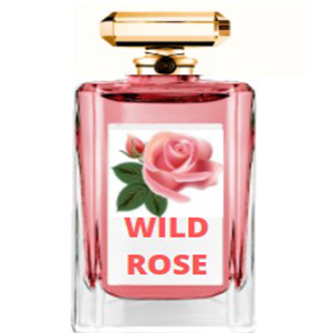 Organic Wild Rose Eau de Parfum - Natural Refreshing Floral Fragrance…