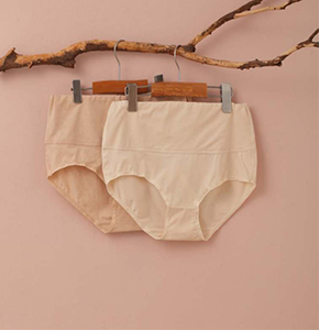 NatureColored 2 Pack Organic Cotton High Waist Brief Panties For Women,…
