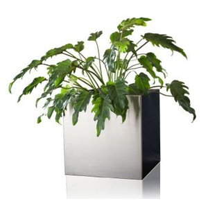 Stainless steel plant pot(40cmx 40cmx 40cm)