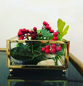 AlKhan Handcrafted Brass Shadow Box Display Case