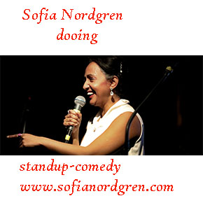 Live Stand-up Comedy Performance Ticket - Interactive Solo Show