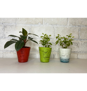 Unbreakable Recycled Planter Sets of 3