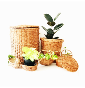 Attractive Organic Cane Planter Set