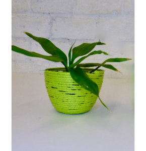 Unbreakable Recycled Plastic Planter